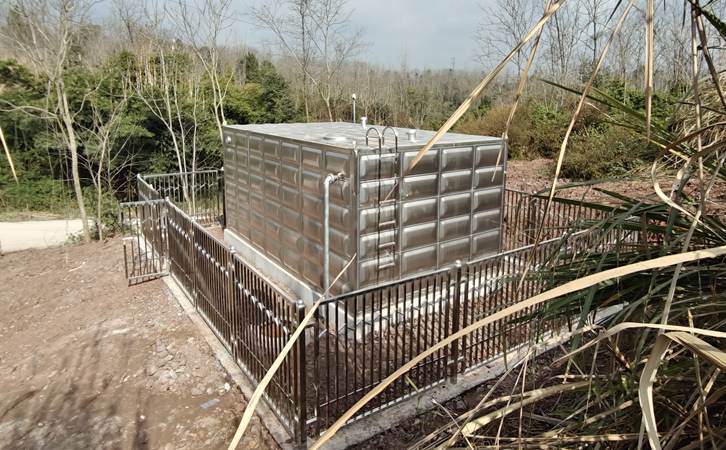 1763604906566106.jpg 302.jpg